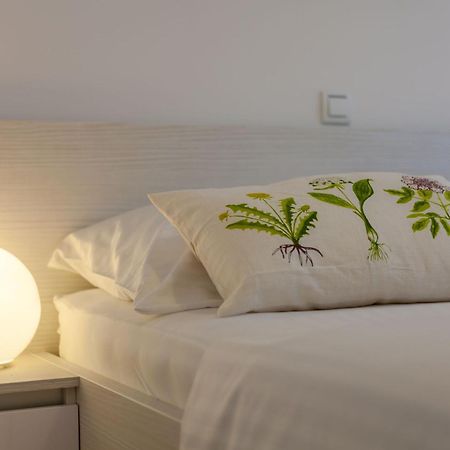 Olive Tree Apartments ポドストラナ エクステリア 写真